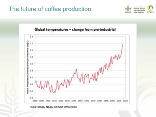 Coffee and climate change