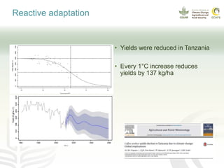 Coffee and climate change