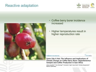 Coffee and climate change