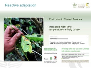 Coffee and climate change