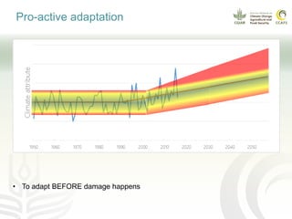 Coffee and climate change