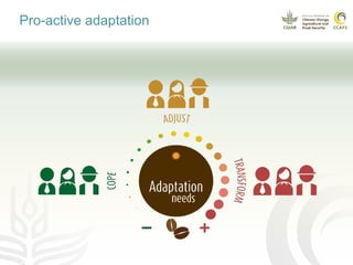Coffee and climate change