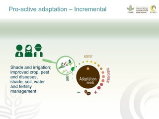 Coffee and climate change