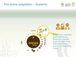 Coffee and climate change