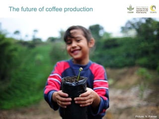 Coffee and climate change