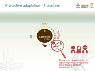 Coffee and climate change