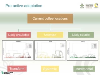 Coffee and climate change