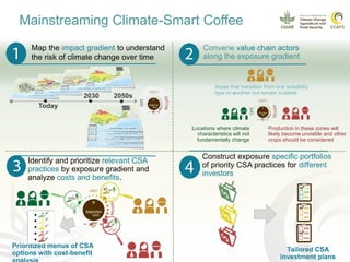 Coffee and climate change