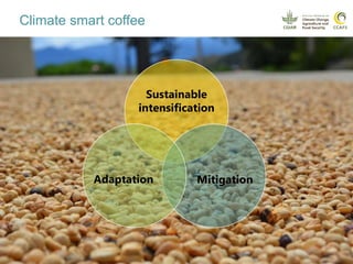 Coffee and climate change