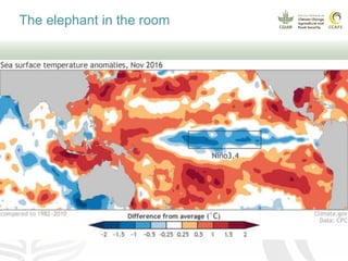 Coffee and climate change