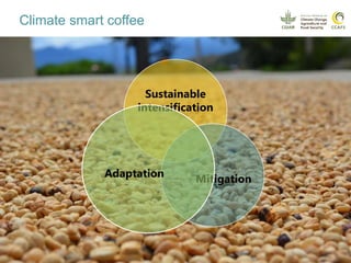 Coffee and climate change