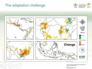 Coffee and climate change
