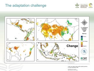 Coffee and climate change