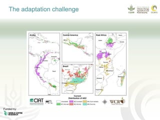 Coffee and climate change