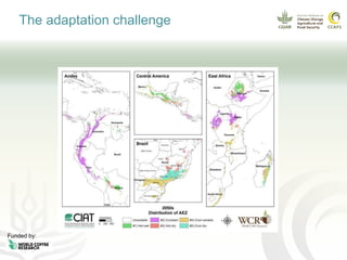 Coffee and climate change