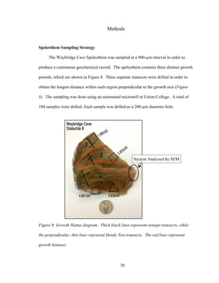 30
Methods
Speleothem Sampling Strategy
The Weybridge Cave Speleothem was sampled at a 900-µm interval in order to
produce a continuous geochemical record. The speleothem contains three distinct growth
periods, which are shown in Figure 8. Three separate transects were drilled in order to
obtain the longest distance within each region perpendicular to the growth axis (Figure
8). The sampling was done using an automated micromill at Union College. A total of
104 samples were drilled. Each sample was drilled as a 200-µm diameter hole.
Figure 8: Growth Hiatus diagram. Thick black lines represent isotope transects, while
the perpendicular, thin lines represent Hendy Test transects. The red lines represent
growth hiatuses
2
3
1
Section Analyzed by SEM
 