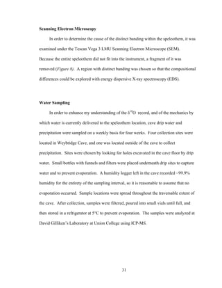 31
Scanning Electron Microscopy
In order to determine the cause of the distinct banding within the speleothem, it was
examined under the Tescan Vega 3 LMU Scanning Electron Microscope (SEM).
Because the entire speleothem did not fit into the instrument, a fragment of it was
removed (Figure 8). A region with distinct banding was chosen so that the compositional
differences could be explored with energy dispersive X-ray spectroscopy (EDS).
Water Sampling
In order to enhance my understanding of the δ18
O record, and of the mechanics by
which water is currently delivered to the speleothem location, cave drip water and
precipitation were sampled on a weekly basis for four weeks. Four collection sites were
located in Weybridge Cave, and one was located outside of the cave to collect
precipitation. Sites were chosen by looking for holes excavated in the cave floor by drip
water. Small bottles with funnels and filters were placed underneath drip sites to capture
water and to prevent evaporation. A humidity logger left in the cave recorded ~99.9%
humidity for the entirety of the sampling interval, so it is reasonable to assume that no
evaporation occurred. Sample locations were spread throughout the traversable extent of
the cave. After collection, samples were filtered, poured into small vials until full, and
then stored in a refrigerator at 5°C to prevent evaporation. The samples were analyzed at
David Gilliken’s Laboratory at Union College using ICP-MS.
 