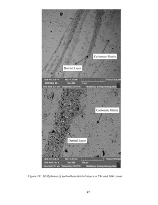 47
Figure 19: SEM photos of speleothem detrital layers at 83x and 384x zoom
Carbonate Matrix
Detrital Layer
Detrital Layer
Carbonate Matrix
 