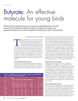 FEEDING YOUNG ANIMALS - SEPTEMBER 201554
Butyrate: An effective
molecule for young birds
P O U L T R Y
When chicks are hatched, they have an extremely challenging start. From this
moment, the microflora should be in balance, to make sure a healthy and
productive chicken can be raised. Butyrate has confirmed its value in achieving this.
By Stephan Bauwens, Innovad, Belgium
T
oday's livestock industry is known for its animals
with high genetic potential. However, the poten-
tial is often not achieved due to different and
complex challenges during the animal's lifecycle.
One of the critical points is found at the border of
the intestinal tube. This area is pivotal in selecting what can be
absorbed and what should remain outside the animal's body.
At the same time, the surface of the intestinal tract (300 times
the size of the surface of the skin) is there to absorb nutrients.
Keeping the intestinal tract healthy is therefore very important.
Its relation with animal nutrition might be one of the most
complex ones. But once you know how to positively influence
the gut health, especially in young animals, the pay-off can be
significant.
 
Understanding how the gut works
In order to obtain a high intestinal health status, possibly in
combination with a reduced use of antibiotics, it is first of all
important to understand how the intestinal system works. The
intestinal barrier consists of different types of cells, of which
the enterocytes are the most abundant ones. These enterocytes
are linked to each other by means of complex protein struc-
tures called 'tight junctions'. These structures have the major
task of closing the cell lines and avoiding paracellular passage
of bacteria, toxins and other undesired substances from the
lumen to the inside of the body. The intestinal lumen is folded
into villi and microvilli in order to increase the absorption area
for digested nutrients. The length and the structure of these
villi are key to assure optimal feed usage and obtain excellent
feed conversion ratio (FCR). The intestinal microbiota consists
of more than 500 different species, which live in direct symbio-
sis with the host. They provide energy to the intestinal wall,
prevent colonisation by pathogenic bacteria and help to main-
tain the intestinal immune system. It has often been demon-
strated that the status of the immune system is (partly) defined
by the presence and the type of microbiota in the intestine.
 
Challenging start for young birds
Young birds, at the moment of birth, have an extremely
challenging start. The digestive tract, including the gastro-
intestinal immunity, and the whole digestive process are imma-
ture. The microbial flora, and by consequence the production
of volatile fatty acids, are inexistent and the environment is
extremely challenging due to the immediate need for high per-
formance and the presence of pathogenic bacteria. Straight
after hatching, everything should be done in order to start the
digestive engine and build in safety precautions as the birds
will have only one chance to make a good start. A failure, such
as retarded performance or development of imbalanced micro-
flora is unacceptable as this will show off at the end of the pro-
duction cycle.
 
Using coated butyrate in the diet
So what can be done to make sure the young birds get a good
start? One solution is adding butyrate to the feed. Butyrate is
an amazing molecule which has been used intensively for more
than a decade in animal nutrition. Benefits of butyric acid
include the anti-inflammatory effects, the support of long slen-
der villi, the enforcement of tight junctions and much more.
More confusion exists about the form in which butyric acid is
added to the diet, referring to the place where butyric acid is
Table 1 - The effect of product 1 and product 2, Tylosin and sodium butyrate
on the growth performance of the chickens.
Items Treatments: SEM P-value
Control Tylosin Product 1 Product 2 Sodium butyrate
BW, g
0 d 41.68 41.79 42.10 41.89 41.86 1.30 0.965
7 d 154.28b 150.32bc 151.23bc 166.39a 140.61c 10.90 <0.001
14 d 334.24c 412.90ab 423.33ab 436.10a 372.46bc 53.15 <0.001
21 d 697.53c 875.88ab 905.23a 875.33ab 764.22bc 117.02 <0.001
FCR, g/g
0-7 d 2.20ab 2.66a 1.99b 1.92b 2.60a 0.46 0.001
7-14 d 3.64a 2.25b 2.03b 1.75b 1.78b 0.93 <0.001
14-21 d 1.65a 1.31b 1.34b 1.36b 1.39b 0.24 0.020
0-21 d 1.97a 1.61b 1.47b 1.40b 1.53b 0.49 <0.0001
 