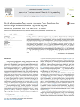 Journal of Environmental Chemical Engineering 2 (2014) 1294–1300
Contents lists available at ScienceDirect
Journal of Environmental Chemical Engineering
journal homepage: www.elsevier.com/locate/jece
Biodiesel production from marine microalga Chlorella salina using
whole cell yeast immobilized on sugarcane bagasse
Duraiarasan Surendhiran*
, Mani Vijay, Abdul Razack Sirajunnisa
Bioelectrochemical Laboratory, Department of Chemical Engineering, Annamalai University, Annamalainagar, Tamil Nadu 608002, India
a r t i c l e i n f o
Article history:
Received 20 January 2014
Accepted 7 May 2014
Keywords:
Chlorella salina
Biodiesel
Methyl acetate
Whole cell biocatalyst
Interesteriﬁcation
a b s t r a c t
Nowadays microalgae have become a potential source for production of biodiesel due to its fast growth
rate, high lipid content and incapable of affecting the food chain. In this study immobilized whole cell yeast
Rhodotorula mucilaginosa MTCC8737 was employed for conversion of marine microalga Chlorella salina oil
into biodiesel by non-alcoholic route in a solvent-free system. Various parameters were evaluated to enhance
the biodiesel yield with methyl acetate as an acyl acceptor. The maximum biodiesel yield was obtained at
85.29% with the optimum conditions of 1.5 g whole cell biocatalyst, 1:12 methyl acetate to oil ratio, 10%
water content (w/w), temperature of 40 ◦
C, 60 h of reaction time and agitation at 250 rpm. The stability of
immobilized whole cell biocatalyst was studied with 10 cycles of repeated usage and it was shown that there
was no signiﬁcant loss of lipase activity in the presence of methyl acetate. The fatty acid composition was
analyzed by gas chromatography, which resulted that palmitic (C16:0) and oleic acid (C18:1) are predominant
in C. salina biodiesel. This study proved that the use of whole cell yeast immobilized on sugarcane bagasse
is cost-effective, ecofriendly and an alternative method for enzymatic biodiesel production on a commercial
scale.
c 2014 Elsevier Ltd. All rights reserved.
Introduction
Currently there is a worldwide interest in ﬁnding out new alter-
native fuels against fossil fuels because of diminishing and over con-
sumption of hydrocarbons which, result in the accumulation of green
house gases in atmosphere that ultimately leads to global warming
[1,2]. Biodiesel (monoalkyl esters of long chain fatty acids) is a po-
tential renewable biofuel and it is biodegradable, non-toxic, has no
net carbon dioxide and is free of sulfur [3–6]. Generally, biodiesel is
produced from food materials and oil crops using conventional meth-
ods [7]; however these sources cannot realistically replace the wide
use of diesel fuel due to increasing demand. Also the over population
worldwide has lead to serious land shortage and raised the issue of
food security [8]. Microalgae have become a recent attraction because
of high oil content, and can be grown in wastewater as they do not
compete with food crops for arable land and water and give 20 times
more biomass productivity rate than the terrestrial crops [9–14]. Mi-
croalgae are photosynthetic microorganisms that utilize light, water
and CO2 and accumulate intracellular lipids as storage materials [15].
Currently biodiesel is being produced employing conventional
methods such as acid and alkali transesteriﬁcation that results in the
conversion of triglycerides into fatty acid methyl esters in a shorter
period [16,17]. Major drawbacks of conventional methods include
high energy input, elimination of salt, difﬁculty in recycling glycerol,
* Corresponding author.
E-mail address: suren micro@yahoo.co.in (D. Surendhiran).
soap formation and requiring wastewater treatment [18–25]. To over-
come these problems, enzymatic production of biodiesel has recently
become an alternative for biodiesel production because the byprod-
uct glycerol can be easily recovered, salt and catalyst can be avoided,
wastewater treatment is not required, high production yield could
be attained under milder conditions and it is an ecofriendly process
[26–28]. One such enzymes used in biodiesel production are lipases.
Lipases (triacylglycerol acylhydrolase, EC 3.1.1.3) are produced by mi-
croorganisms, plants and animals, but for the large scale production
microorganisms are more suitable [29].
However, the enzymatic production of biodiesel is not yet com-
mercialized due to high cost involvement in the isolation, puriﬁcation,
and immobilization on a carrier as well as to low stability of lipase in
methanol [30–33]. To overcome these problems, we have focused on
whole cell biocatalyst for biodiesel production, i.e. microorganisms,
which contain lipase intracellularly or in their cell wall. The advan-
tages of whole cell biocatalyst include inexpensive process, recycla-
bility of biocatalyst, no puriﬁcation process, stability to methanol and
low production cost [15,18,25]. Nowadays, the enzymatic synthesis
of biodiesel in solvent free system is focused globally, because such
systems are advantageous over solvent aided transesteriﬁcation by
avoiding separation, toxicity, ﬂammability and high cost of organic
solvents [20,33].
In this work, biodiesel had been produced by interesteriﬁcation of
oil from microalga, Chlorella salina. Biocatalysis of the reaction was
performed by whole cells of Rhodotorula mucilaginosa producing li-
pase which was immobilized on an agro waste, sugarcane bagasse. As
2213-3437/$ - see front matter c 2014 Elsevier Ltd. All rights reserved.
http://dx.doi.org/10.1016/j.jece.2014.05.004
 