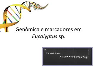 Genômica e marcadores em
Eucalyptus sp.
 
