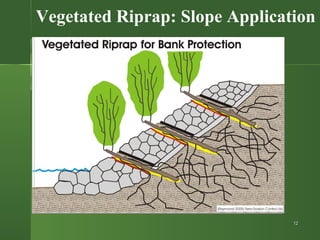 Vegatative Riprap Bio-engineering power point Presentation | PPT