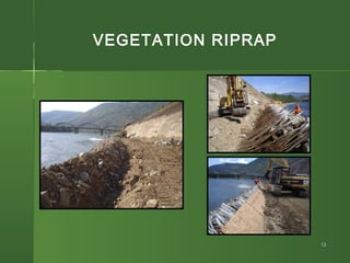 Bioengineered Rip Rap Bio-engineering power point Presentation | PPT