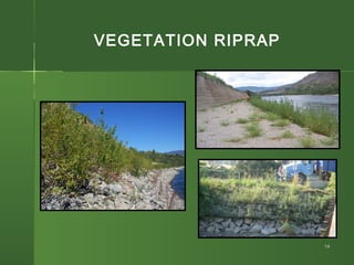 Vegatative Riprap Bio-engineering power point Presentation | PPT