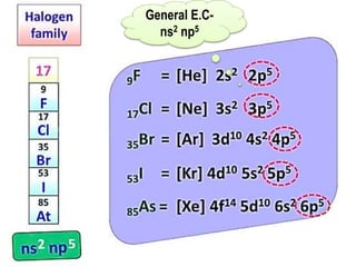 General E.C-
ns2 np5
 