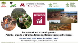 Decent work and economic growth: Potential impacts of SDG 8 on forests ...