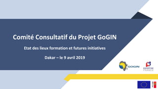 Comité Consultatif du Projet GoGIN
Etat des lieux formation et futures initiatives
Dakar – le 9 avril 2019
 
