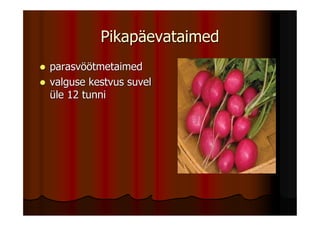 Pikapäevataimed
parasvöötmetaimed
valguse kestvus suvel
üle 12 tunni
 