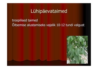 Lühipäevataimed
troopilised taimed
Õitsemise alustamiseks vajalik 10-12 tundi valgust
 