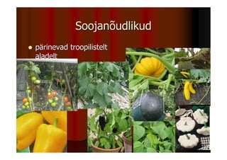 Soojanõudlikud
pärinevad troopilistelt
aladelt
 