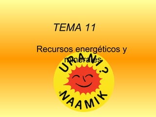 TEMA 11
Recursos energéticos y
minerales
 
