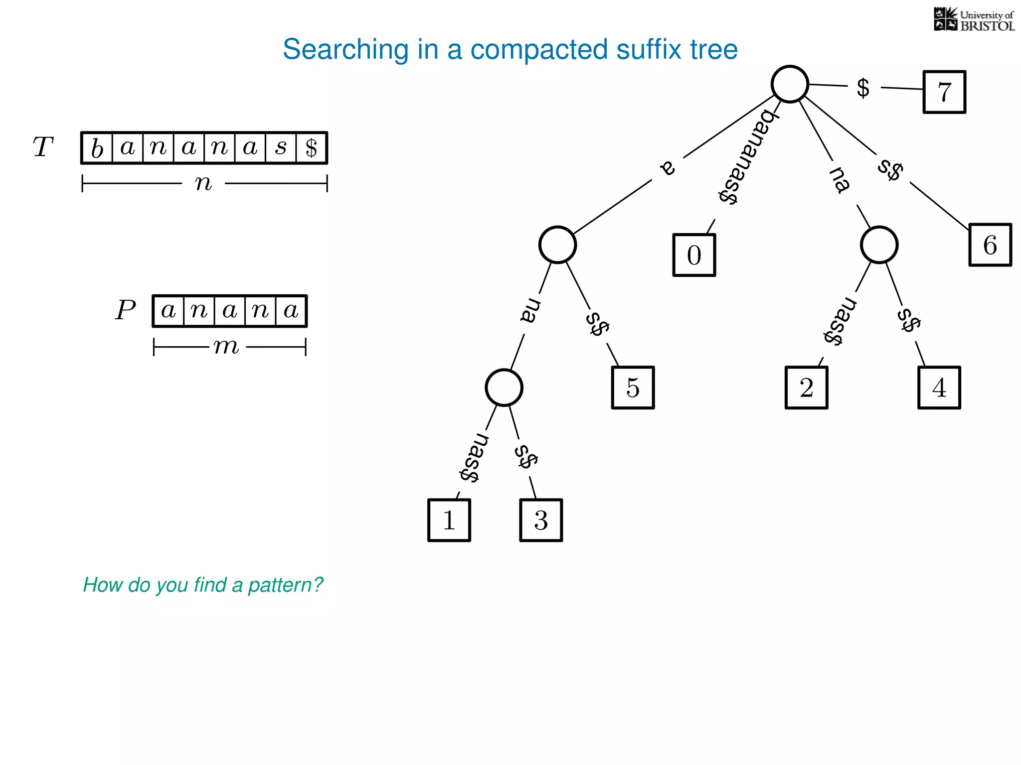 Searching in a compacted sufﬁx tree
How do you ﬁnd a pattern?
P aa n
m
TT b n aaa sn
n
$ a
s$
nas$
nas$
nas$
s$
na
s$
bananas$
7$
an
1 3
5
0
2 4
6
 