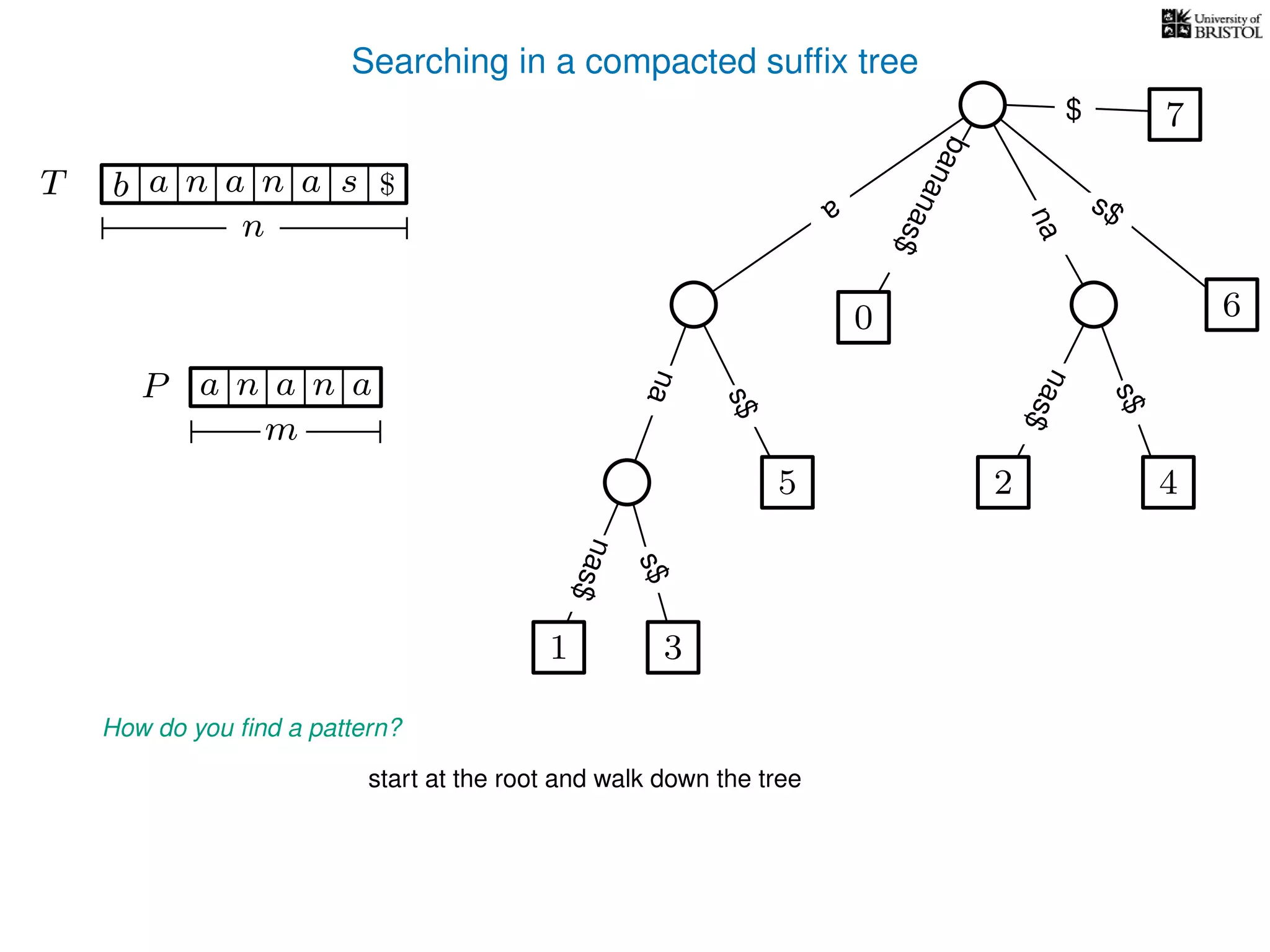 Searching in a compacted sufﬁx tree
How do you ﬁnd a pattern?
P aa n
m
start at the root and walk down the tree
TT b n aaa sn
n
$ a
s$
nas$
nas$
nas$
s$
na
s$
bananas$
7$
an
1 3
5
0
2 4
6
 