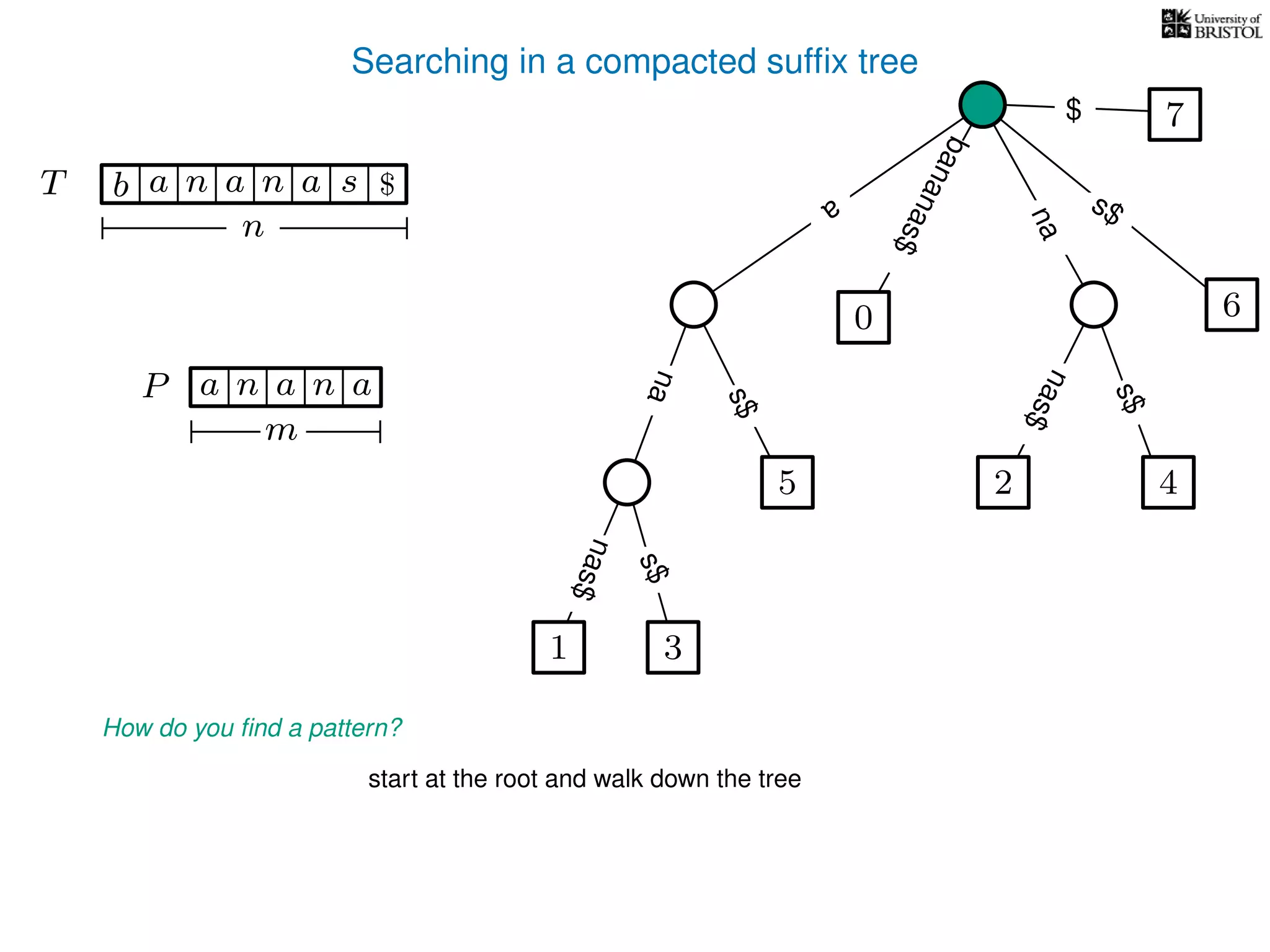Searching in a compacted sufﬁx tree
How do you ﬁnd a pattern?
P aa n
m
start at the root and walk down the tree
TT b n aaa sn
n
$ a
s$
nas$
nas$
nas$
s$
na
s$
bananas$
7$
an
1 3
5
0
2 4
6
 