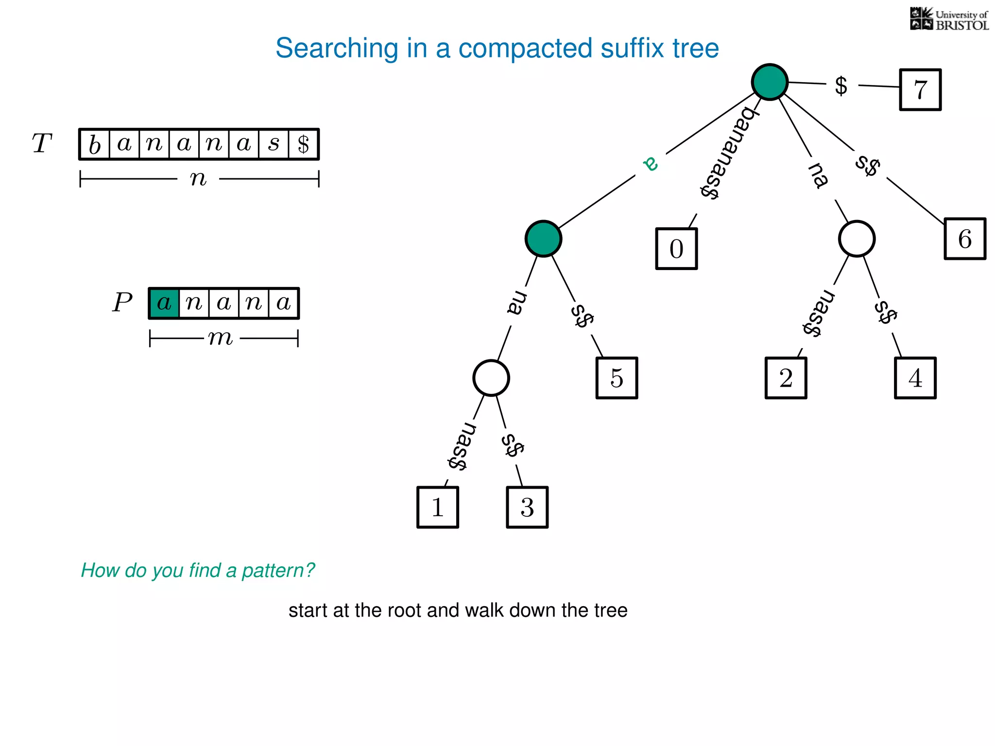 Searching in a compacted sufﬁx tree
How do you ﬁnd a pattern?
P aa n
m
start at the root and walk down the tree
TT b n aaa sn
n
$ a
s$
nas$
nas$
nas$
s$
na
s$
bananas$
7$
a
an
1 3
5
0
2 4
6
 