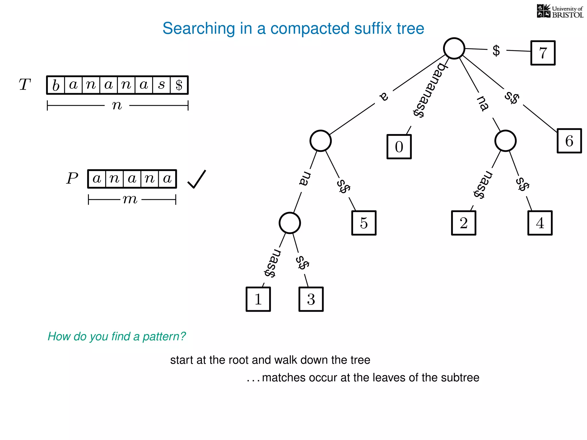 Searching in a compacted sufﬁx tree
How do you ﬁnd a pattern?
P aa n
m
start at the root and walk down the tree
. . . matches occur at the leaves of the subtree
TT b n aaa sn
n
$ a
s$
nas$
nas$
nas$
s$
na
s$
bananas$
7$
an
1 3
5
0
2 4
6
 