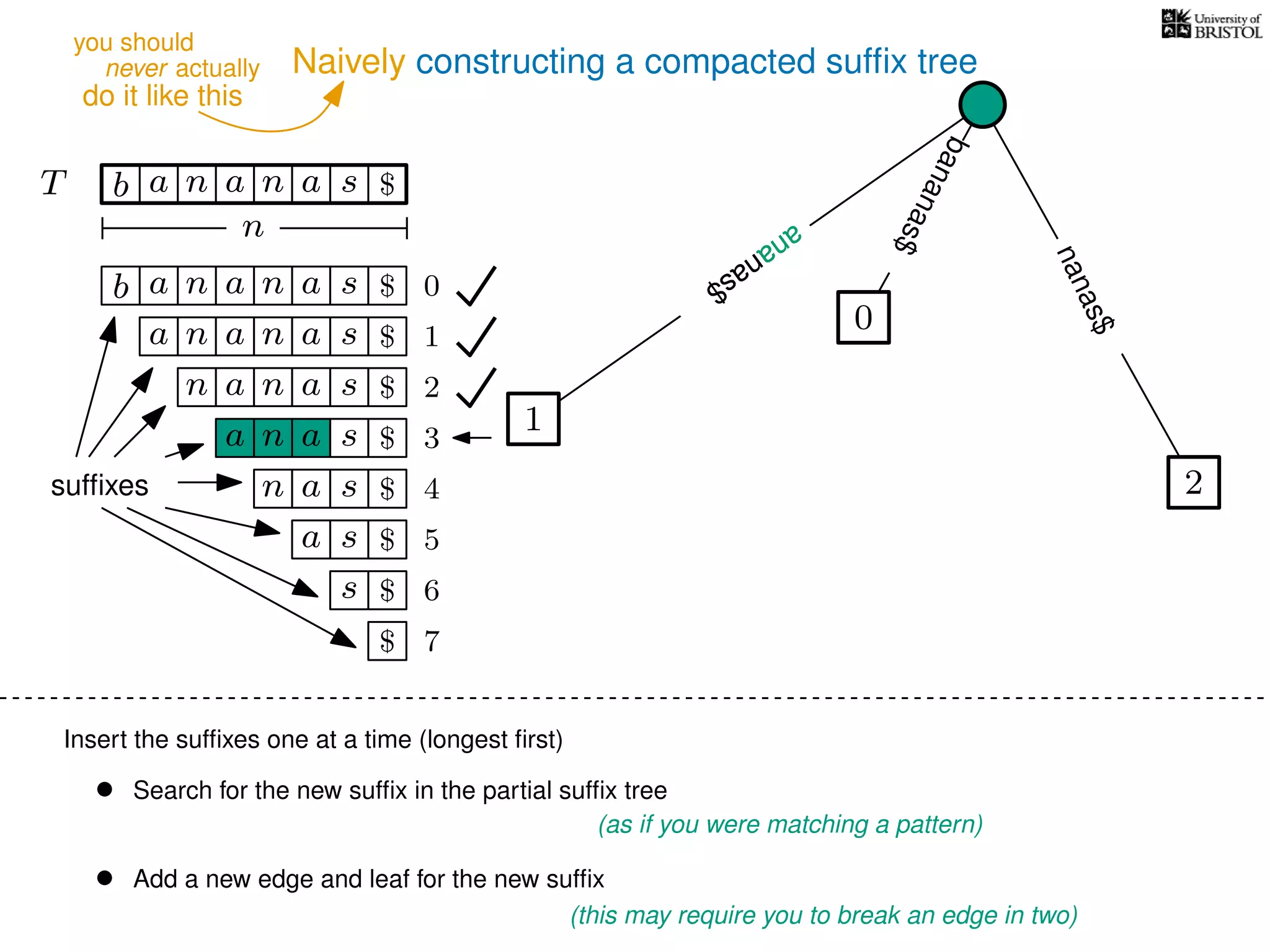 Naively constructing a compacted sufﬁx tree
Insert the sufﬁxes one at a time (longest ﬁrst)
• Search for the new sufﬁx in the partial sufﬁx tree
(as if you were matching a pattern)
• Add a new edge and leaf for the new sufﬁx
(this may require you to break an edge in two)
TT b n aaa sn
n
$
bananas$
b n aaa sn
n aaa sn
n aa sn
aa sn
a sn
a s
s
sufﬁxes
$
$
$
$
$
$
$
0
1
2
3
4
5
6
$ 7
0
1
ananas$
2
nanas$
ananas$
ananas$
ananas$
never actually
do it like this
you should
 