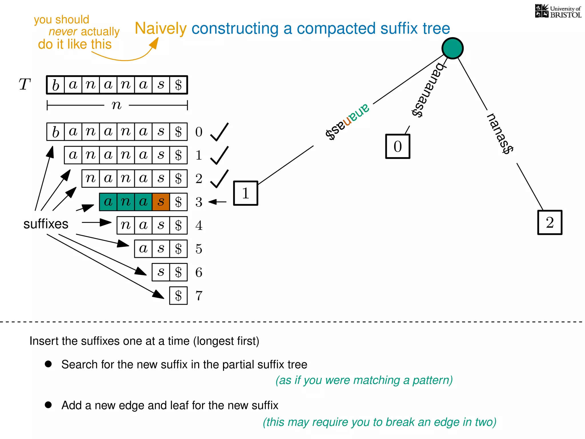 Naively constructing a compacted sufﬁx tree
Insert the sufﬁxes one at a time (longest ﬁrst)
• Search for the new sufﬁx in the partial sufﬁx tree
(as if you were matching a pattern)
• Add a new edge and leaf for the new sufﬁx
(this may require you to break an edge in two)
TT b n aaa sn
n
$
bananas$
b n aaa sn
n aaa sn
n aa sn
aa sn
a sn
a s
s
sufﬁxes
$
$
$
$
$
$
$
0
1
2
3
4
5
6
$ 7
0
1
ananas$
2
nanas$
ananas$
ananas$
ananas$
ananas$
never actually
do it like this
you should
 