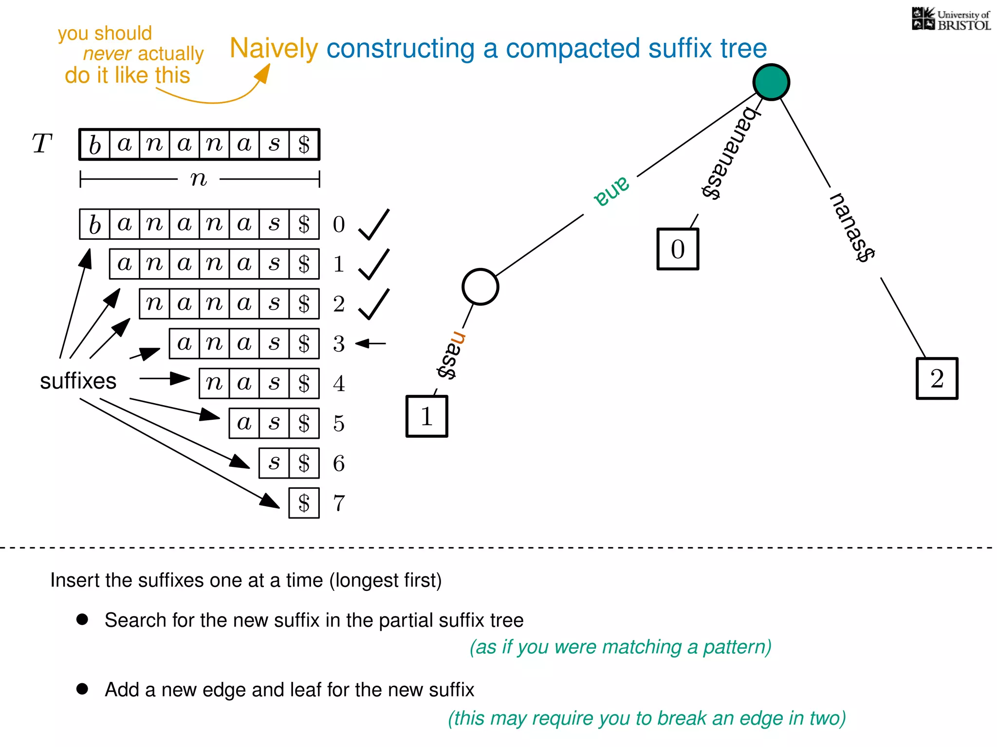 Naively constructing a compacted sufﬁx tree
Insert the sufﬁxes one at a time (longest ﬁrst)
• Search for the new sufﬁx in the partial sufﬁx tree
(as if you were matching a pattern)
• Add a new edge and leaf for the new sufﬁx
(this may require you to break an edge in two)
TT b n aaa sn
n
$
bananas$
b n aaa sn
n aaa sn
n aa sn
aa sn
a sn
a s
s
sufﬁxes
$
$
$
$
$
$
$
0
1
2
3
4
5
6
$ 7
0
2
nanas$
nas$
1
ana
nas$
ana
never actually
do it like this
you should
 