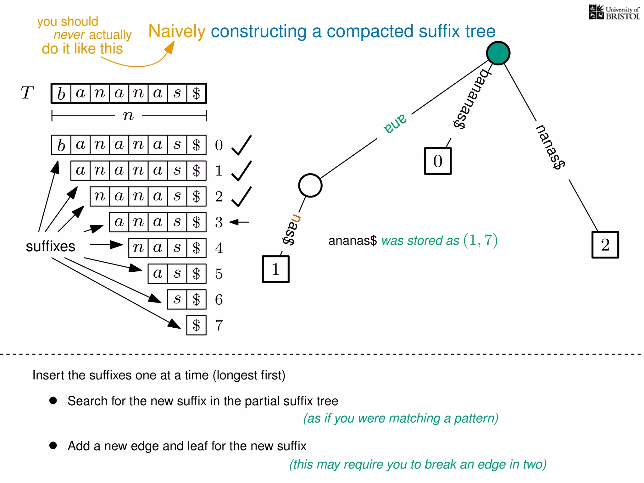 Naively constructing a compacted sufﬁx tree
Insert the sufﬁxes one at a time (longest ﬁrst)
• Search for the new sufﬁx in the partial sufﬁx tree
(as if you were matching a pattern)
• Add a new edge and leaf for the new sufﬁx
(this may require you to break an edge in two)
TT b n aaa sn
n
$
bananas$
b n aaa sn
n aaa sn
n aa sn
aa sn
a sn
a s
s
sufﬁxes
$
$
$
$
$
$
$
0
1
2
3
4
5
6
$ 7
0
2
nanas$
nas$
1
ana
nas$
ana
ananas$ was stored as (1, 7)
never actually
do it like this
you should
 