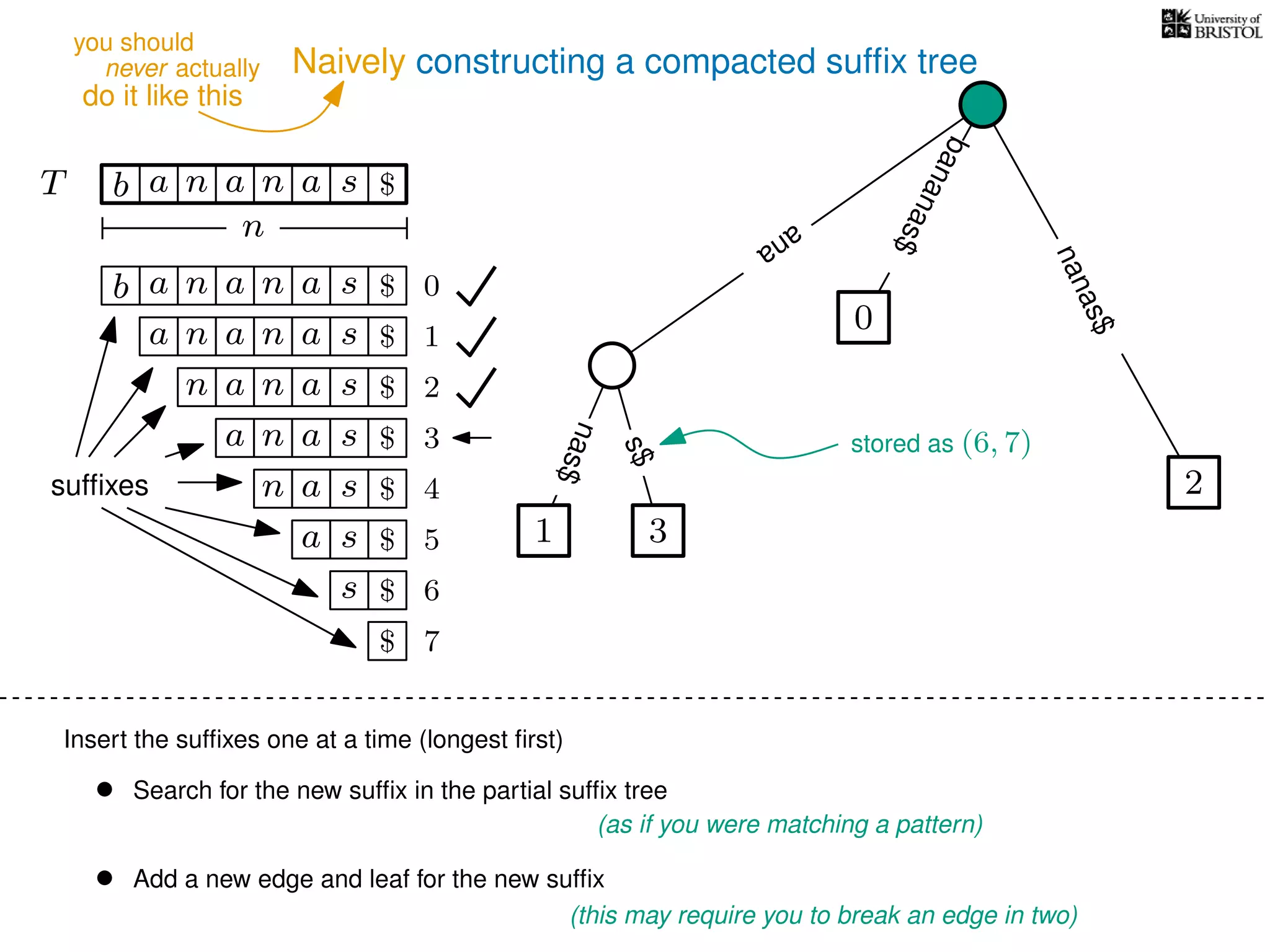 Naively constructing a compacted sufﬁx tree
Insert the sufﬁxes one at a time (longest ﬁrst)
• Search for the new sufﬁx in the partial sufﬁx tree
(as if you were matching a pattern)
• Add a new edge and leaf for the new sufﬁx
(this may require you to break an edge in two)
TT b n aaa sn
n
$
bananas$
b n aaa sn
n aaa sn
n aa sn
aa sn
a sn
a s
s
sufﬁxes
$
$
$
$
$
$
$
0
1
2
3
4
5
6
$ 7
0
2
nanas$
s$
nas$
1 3
ana
stored as (6, 7)
never actually
do it like this
you should
 