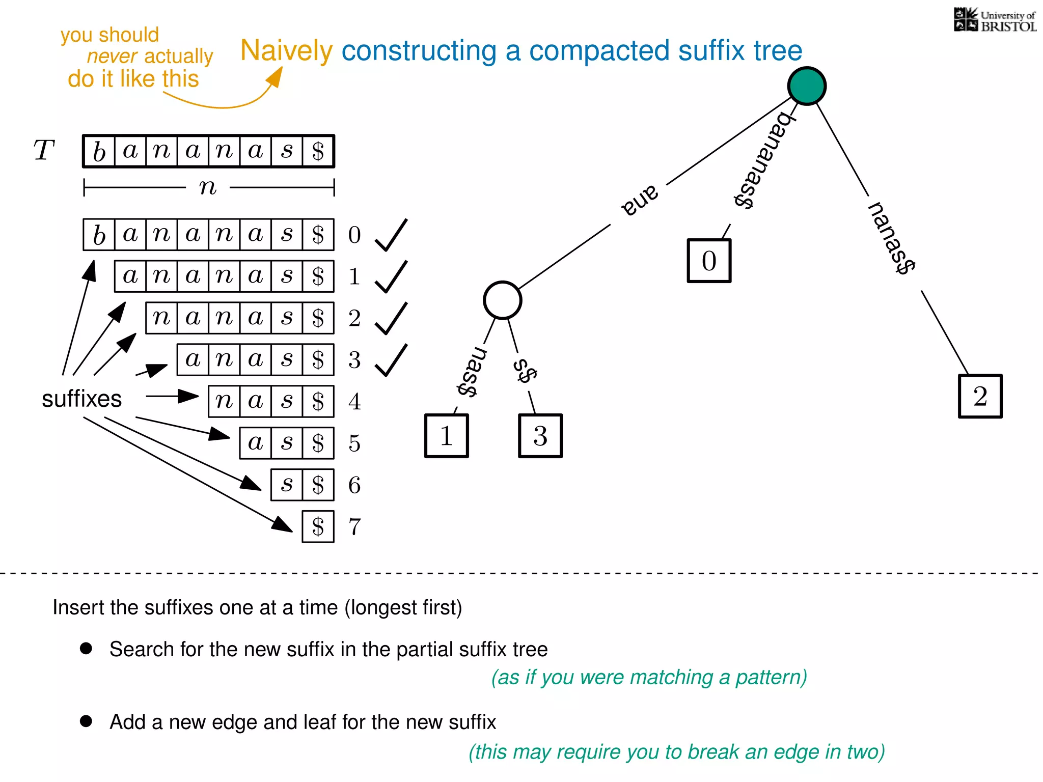 Naively constructing a compacted sufﬁx tree
Insert the sufﬁxes one at a time (longest ﬁrst)
• Search for the new sufﬁx in the partial sufﬁx tree
(as if you were matching a pattern)
• Add a new edge and leaf for the new sufﬁx
(this may require you to break an edge in two)
TT b n aaa sn
n
$
bananas$
b n aaa sn
n aaa sn
n aa sn
aa sn
a sn
a s
s
sufﬁxes
$
$
$
$
$
$
$
0
1
2
3
4
5
6
$ 7
0
2
nanas$
s$
nas$
1 3
ana
never actually
do it like this
you should
 