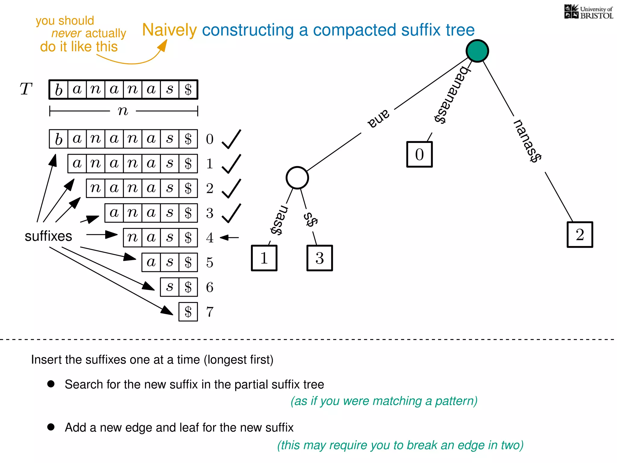 Naively constructing a compacted sufﬁx tree
Insert the sufﬁxes one at a time (longest ﬁrst)
• Search for the new sufﬁx in the partial sufﬁx tree
(as if you were matching a pattern)
• Add a new edge and leaf for the new sufﬁx
(this may require you to break an edge in two)
TT b n aaa sn
n
$
bananas$
b n aaa sn
n aaa sn
n aa sn
aa sn
a sn
a s
s
sufﬁxes
$
$
$
$
$
$
$
0
1
2
3
4
5
6
$ 7
0
2
nanas$
s$
nas$
1 3
ana
never actually
do it like this
you should
 