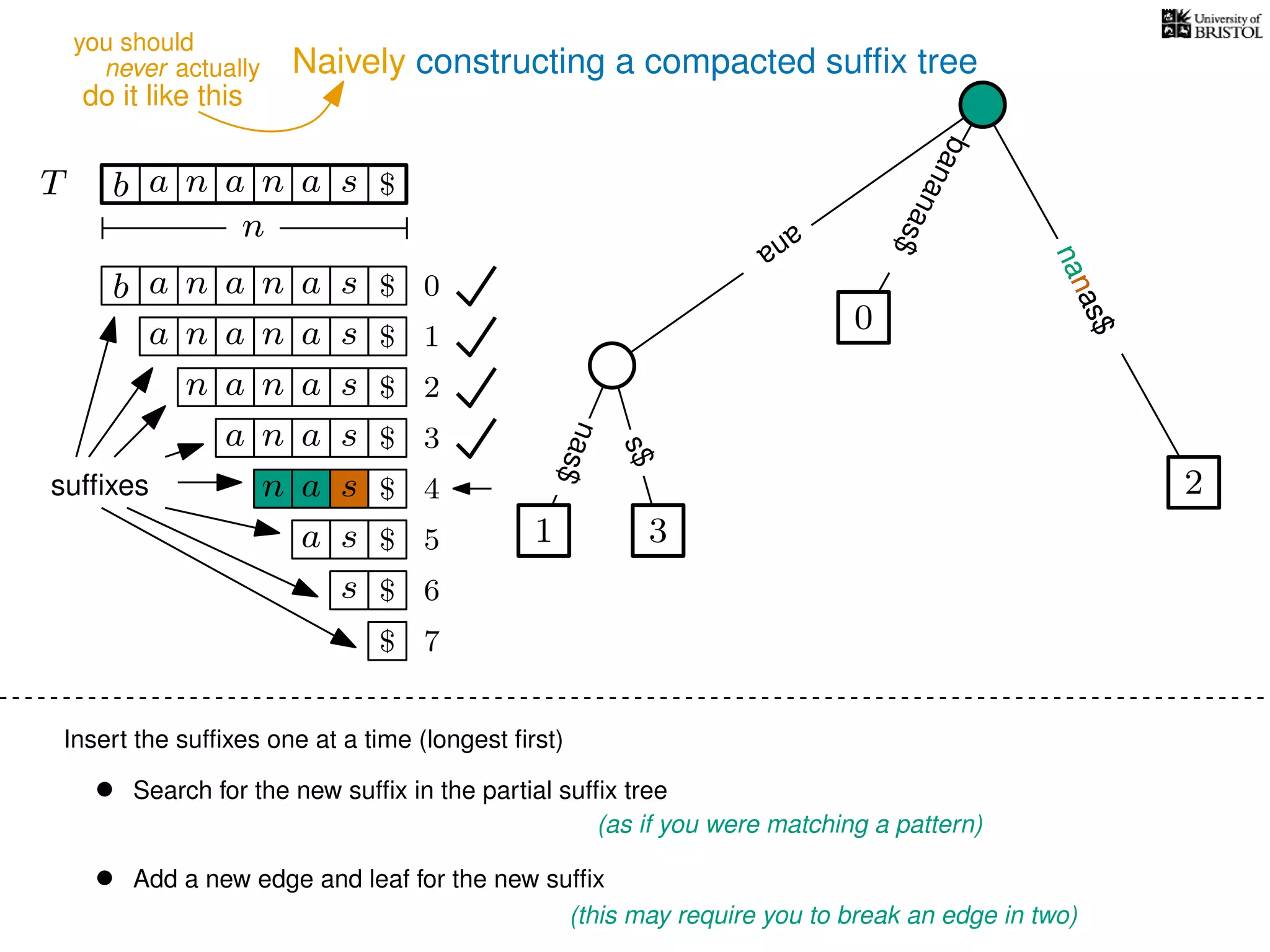 Naively constructing a compacted sufﬁx tree
Insert the sufﬁxes one at a time (longest ﬁrst)
• Search for the new sufﬁx in the partial sufﬁx tree
(as if you were matching a pattern)
• Add a new edge and leaf for the new sufﬁx
(this may require you to break an edge in two)
TT b n aaa sn
n
$
bananas$
b n aaa sn
n aaa sn
n aa sn
aa sn
a sn
a s
s
sufﬁxes
$
$
$
$
$
$
$
0
1
2
3
4
5
6
$ 7
0
2
nanas$
s$
nas$
1 3
ana
nanas$
nanas$
nanas$
never actually
do it like this
you should
 