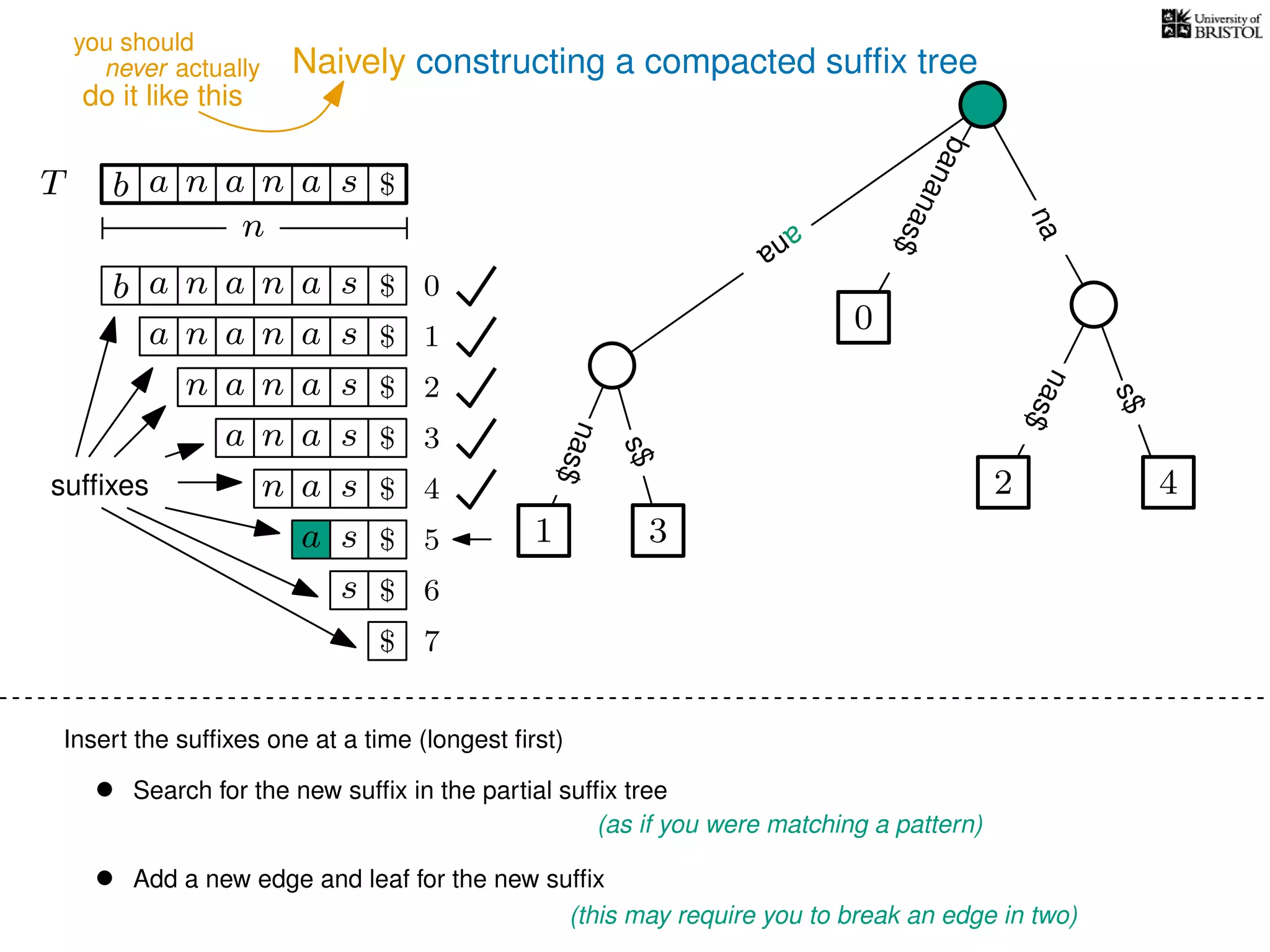 Naively constructing a compacted sufﬁx tree
Insert the sufﬁxes one at a time (longest ﬁrst)
• Search for the new sufﬁx in the partial sufﬁx tree
(as if you were matching a pattern)
• Add a new edge and leaf for the new sufﬁx
(this may require you to break an edge in two)
TT b n aaa sn
n
$
s$
na
bananas$
b n aaa sn
n aaa sn
n aa sn
aa sn
a sn
a s
s
sufﬁxes
$
$
$
$
$
$
$
0
1
2
3
4
5
6
$ 7
0
2 4
s$
nas$
1 3
ana
ana
nas$
never actually
do it like this
you should
 