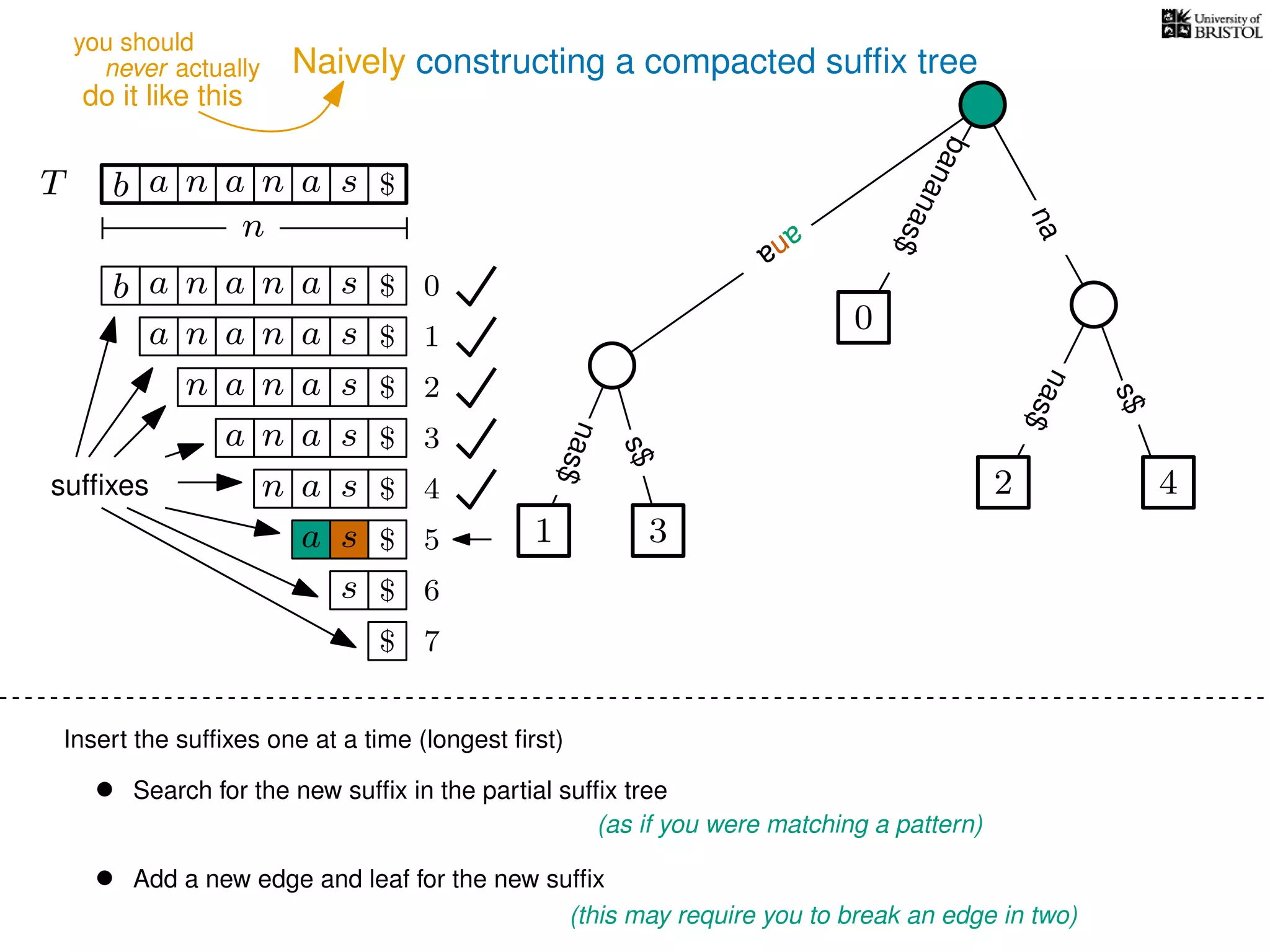Naively constructing a compacted sufﬁx tree
Insert the sufﬁxes one at a time (longest ﬁrst)
• Search for the new sufﬁx in the partial sufﬁx tree
(as if you were matching a pattern)
• Add a new edge and leaf for the new sufﬁx
(this may require you to break an edge in two)
TT b n aaa sn
n
$
s$
na
bananas$
b n aaa sn
n aaa sn
n aa sn
aa sn
a sn
a s
s
sufﬁxes
$
$
$
$
$
$
$
0
1
2
3
4
5
6
$ 7
0
2 4
s$
nas$
1 3
ana
ana
ana
nas$
never actually
do it like this
you should
 